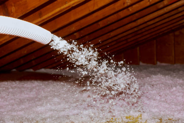 Best Commercial Insulation in Wake Village, TX